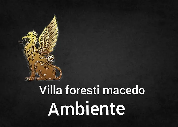 Ambiente Foresti Macedo